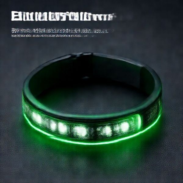 LED Wristband (rechargeable)